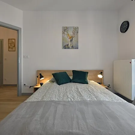 Comfort Prymasa 1000-lecia Daire *